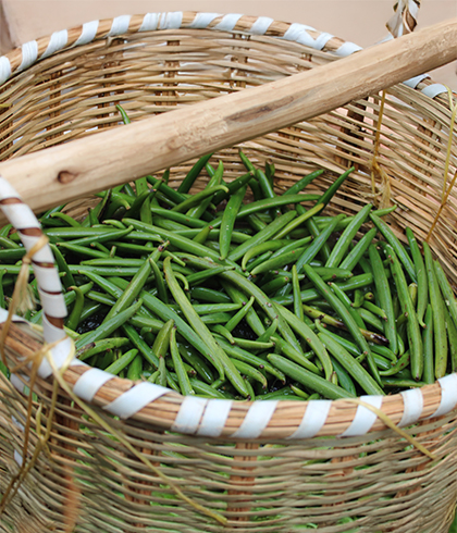 echaudage